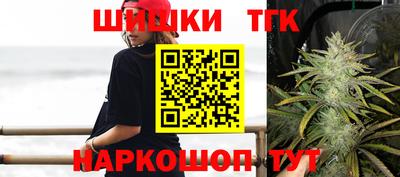 тгк Камышлов