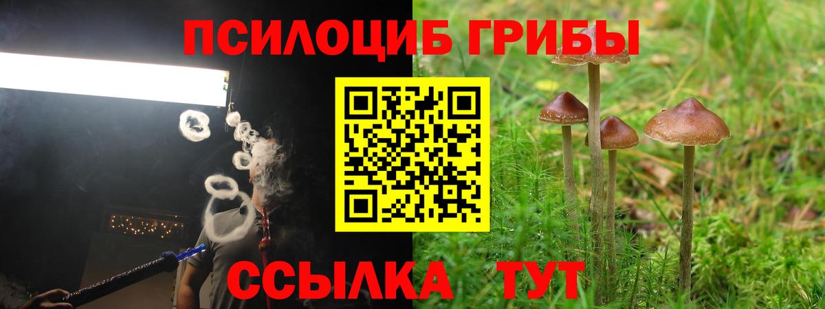 Псилоцибиновые грибы прущие грибы Кунгур