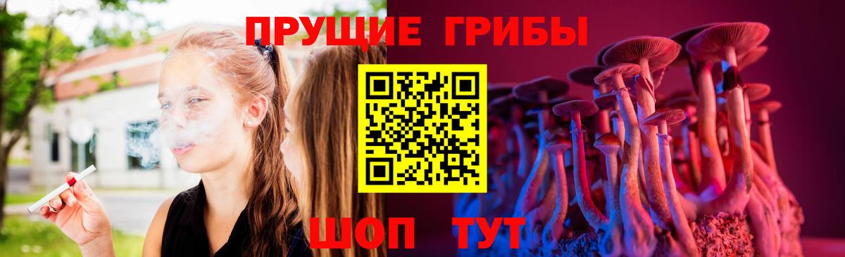 дарнет шоп  Вход с VPN  Галлюциногенные грибы ЛСД  Кунгур  Псилоцибиновые грибы ЛСД 