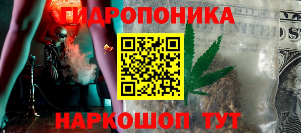 Бошки Шишки планчик Кунгур